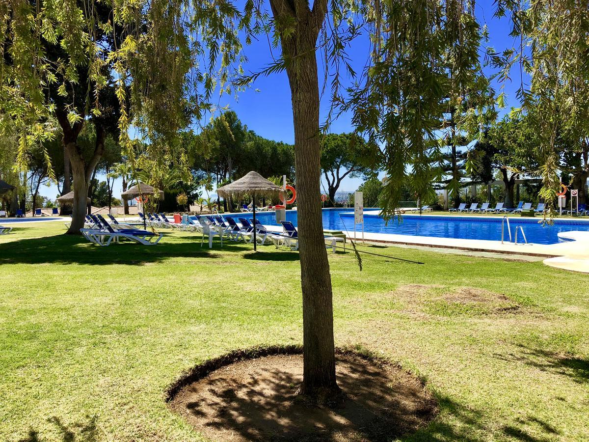 Trh Paraiso Estepona